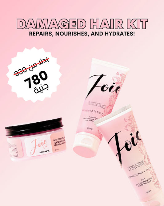 Damaged Hair Kit
